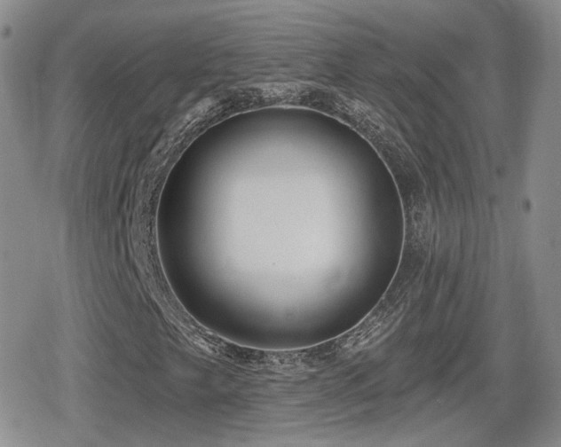 X0000080741249200612151241