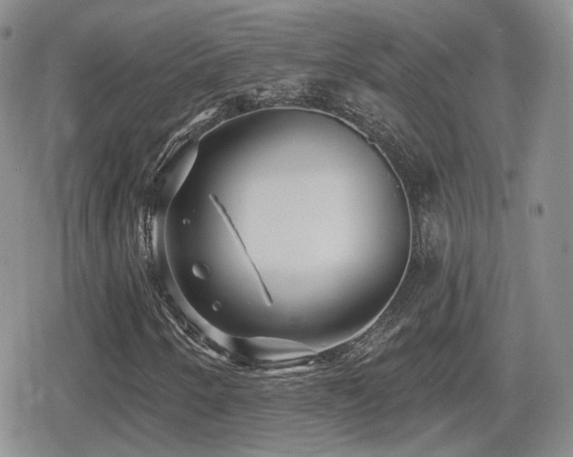 X0000080741250200612151241