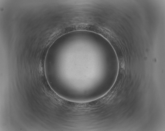 X0000080741252200612151241