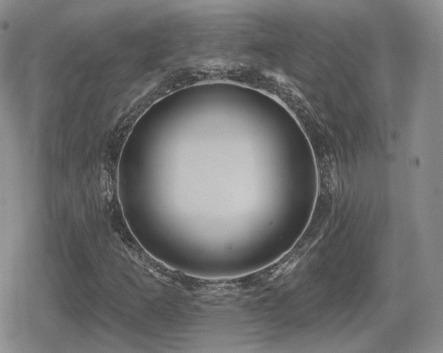X0000080741253200612151240