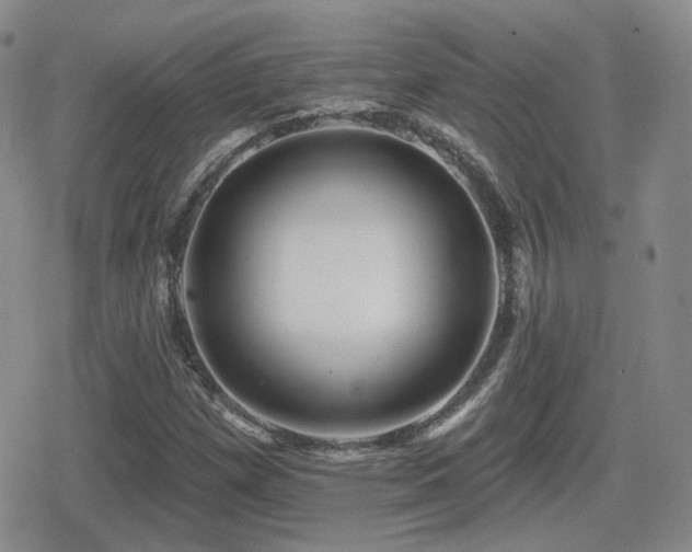 X0000080741257200612151240