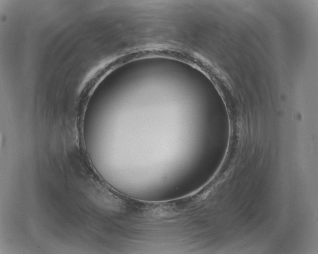 X0000080741262200612151240