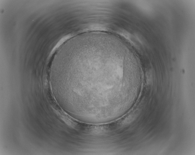 X0000080741266200612151240