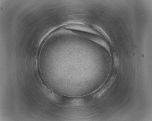 X0000080741268200612151240