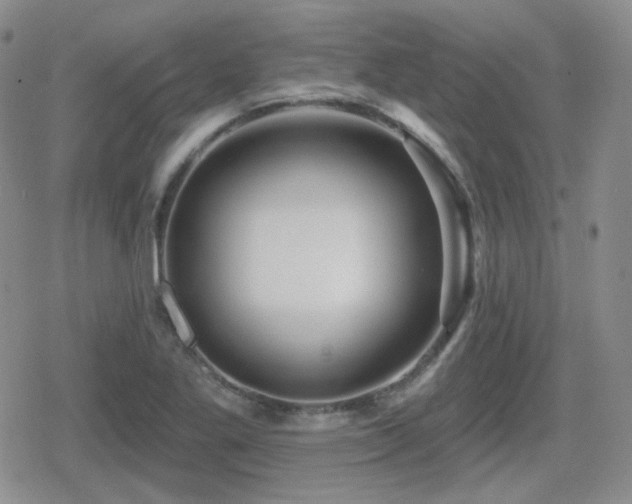 X0000080741269200612151240