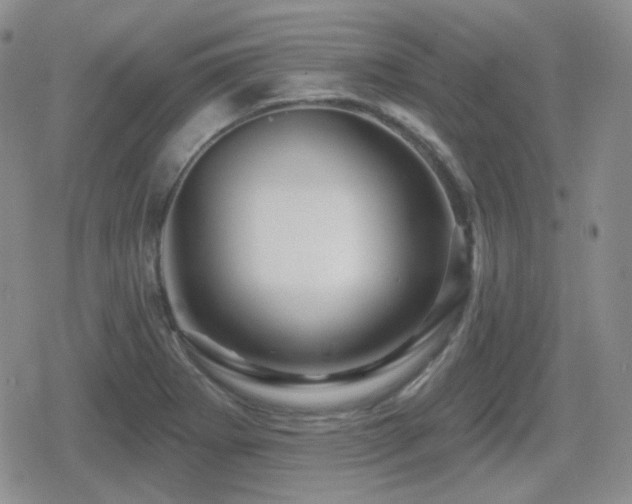 X0000080741273200612151240