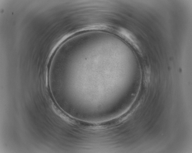 X0000080741276200612151240