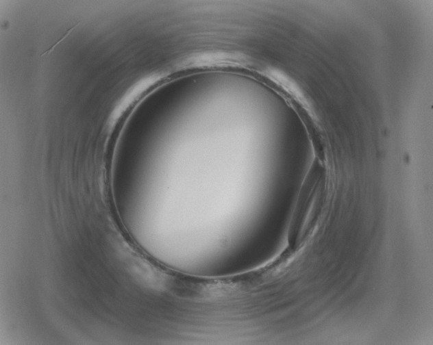 X0000080741277200612151240