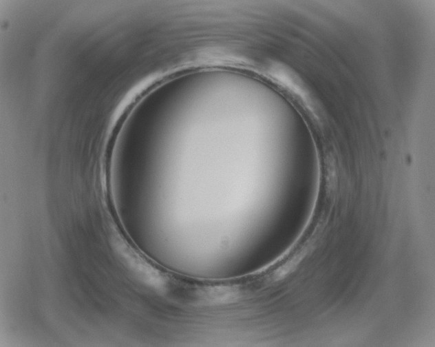 X0000080741280200612151240