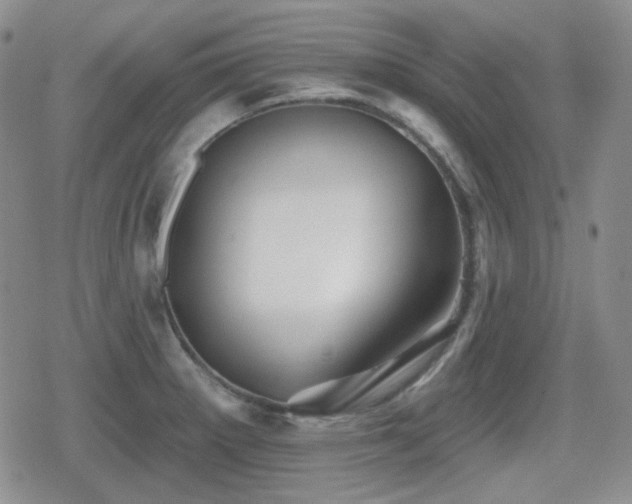 X0000080741281200612151240