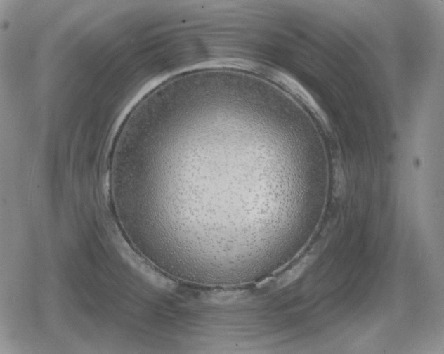 X0000080741284200612151240