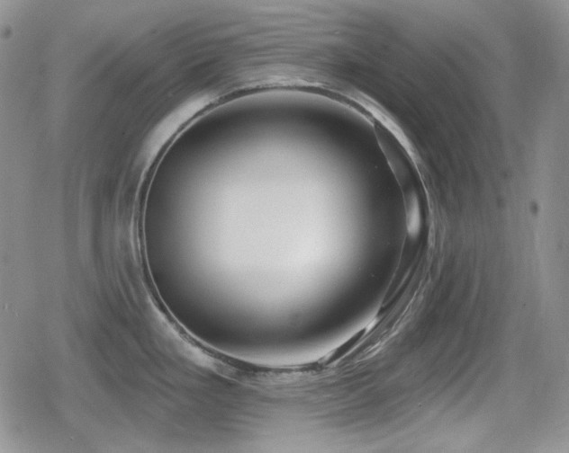 X0000080741293200612151240