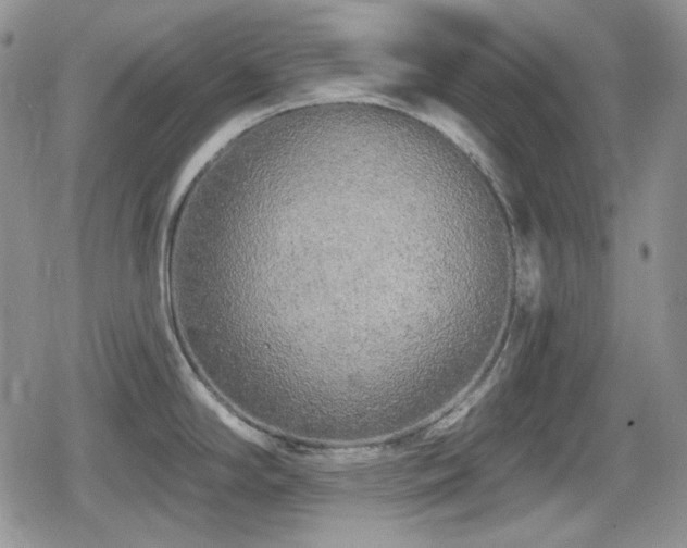 X0000080741294200612151240