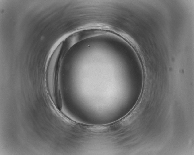 X0000080741296200612151240