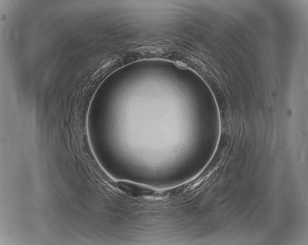 X0000080741297200612151239