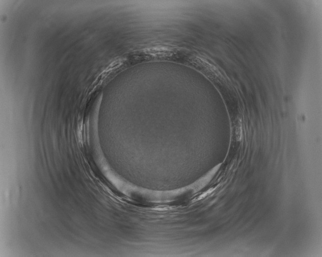 X0000080741298200612151239