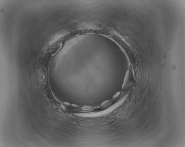 X0000080741303200612151239