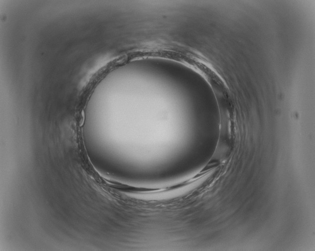 X0000080741304200612151239