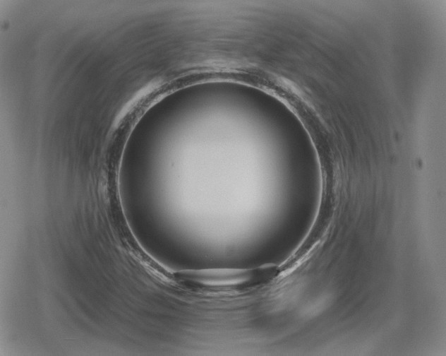 X0000080741307200612151239