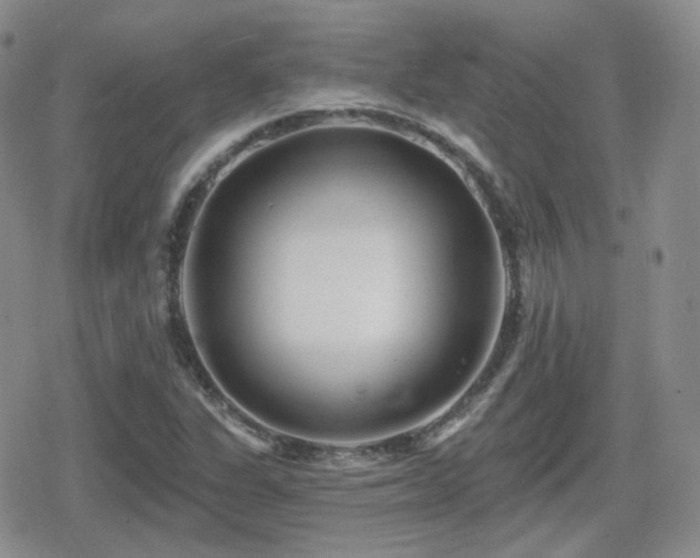 X0000080741311200612151239