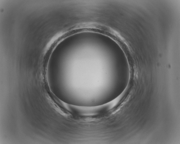 X0000080741312200612151239