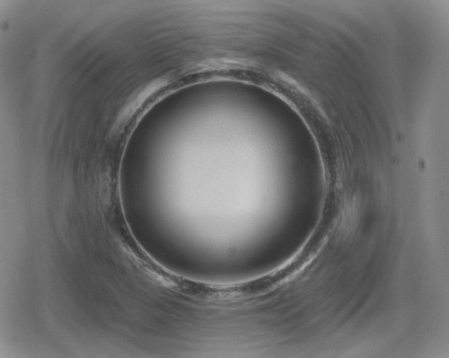 X0000080741313200612151239