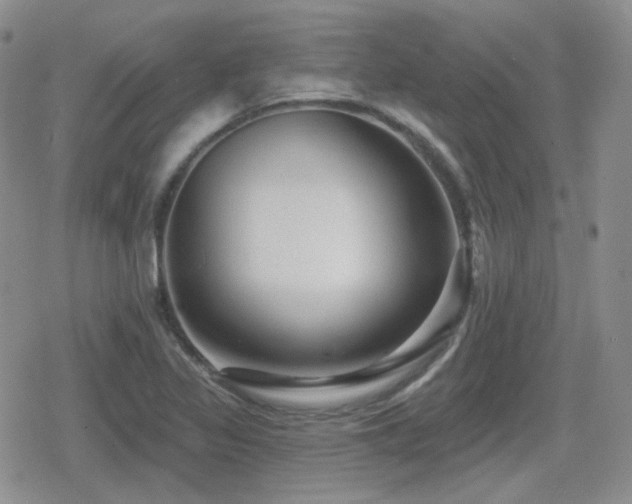 X0000080741317200612151239