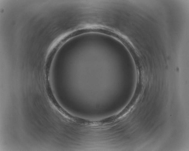 X0000080741319200612151239