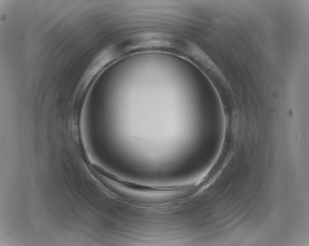 X0000080741321200612151239