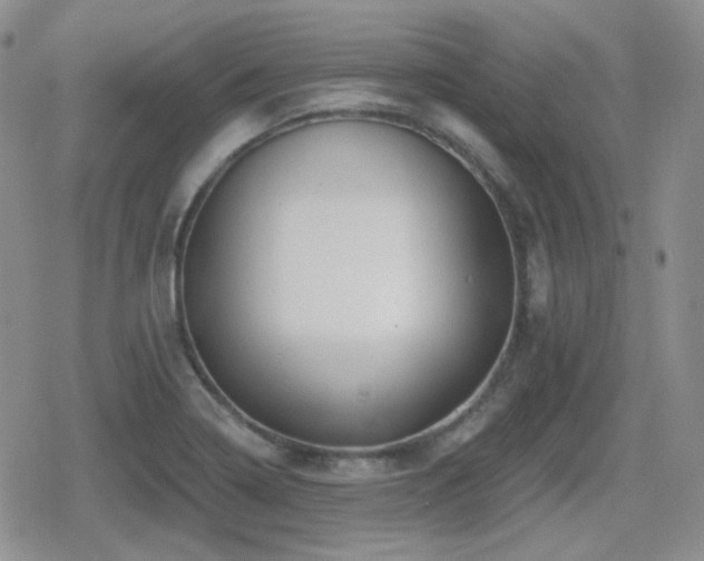 X0000080741322200612151239