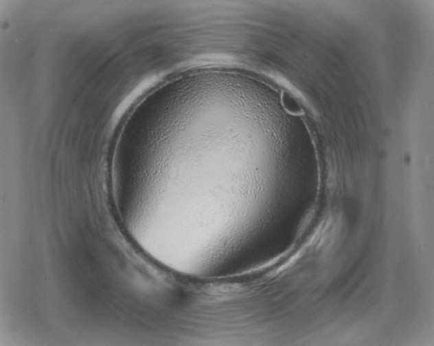 X0000080741325200612151239
