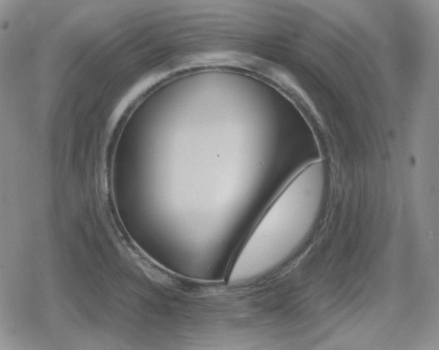 X0000080741328200612151240