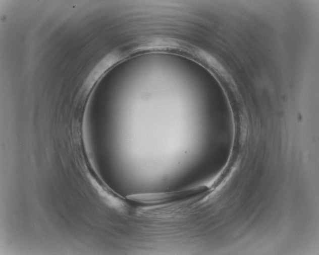 X0000080741329200612151240