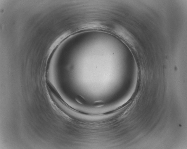 X0000080741330200612151240