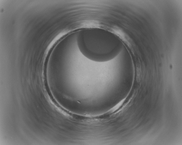 X0000080741331200612151240