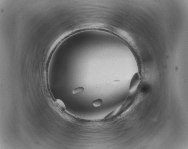 X0000080741332200612151240