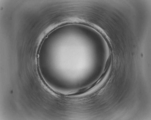 X0000080741335200612151240