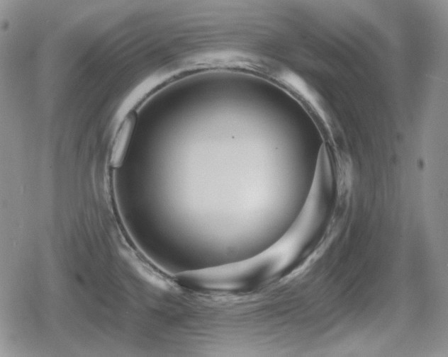 X0000080741336200612151240