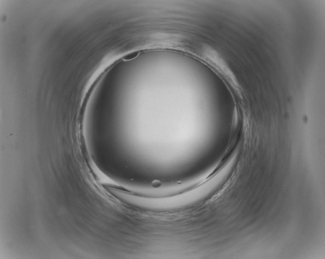 X0000080741340200612151240