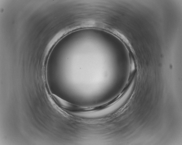 X0000080741342200612151240