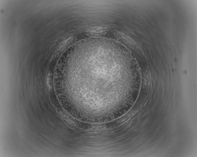 X0000080741346200612151239