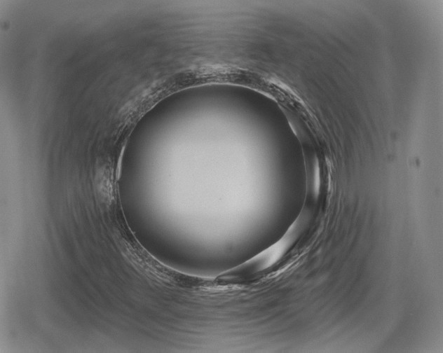 X0000080741348200612151239