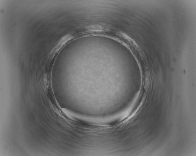 X0000080741353200612151239