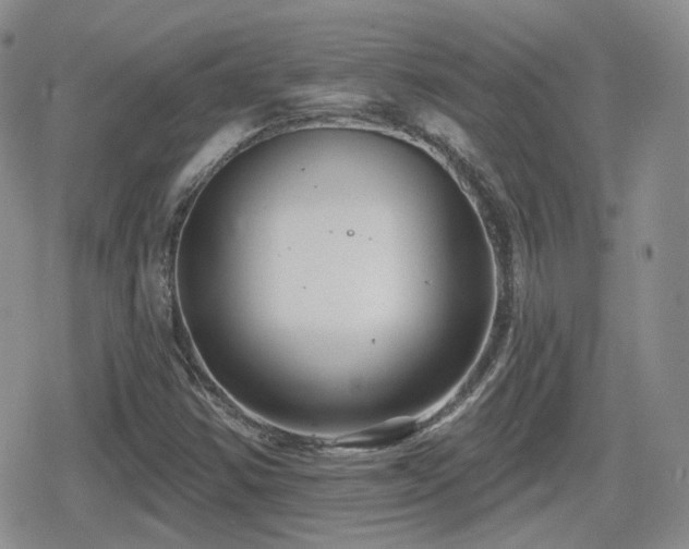 X0000080741354200612151239