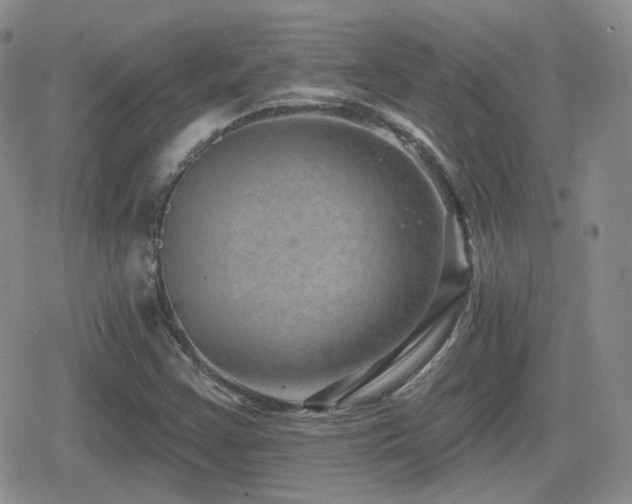 X0000080741355200612151239