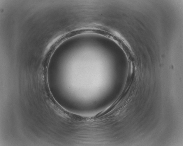 X0000080741360200612151239