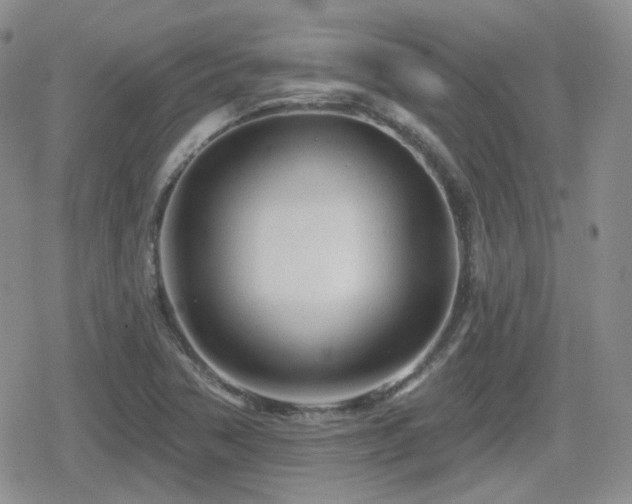 X0000080741362200612151239