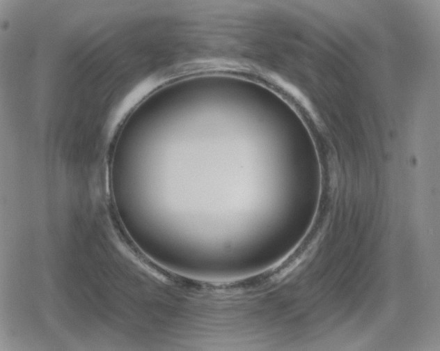 X0000080741365200612151239