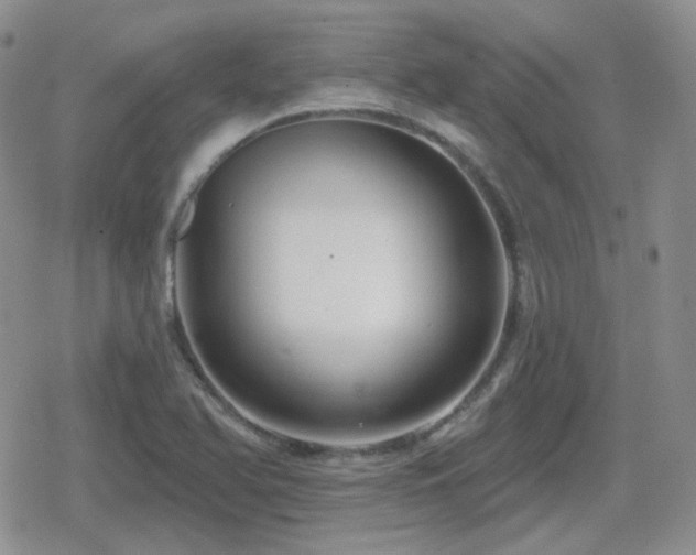 X0000080741366200612151239
