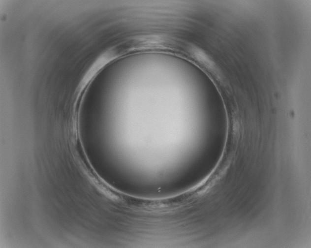 X0000080741370200612151239